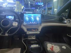 BYD Dolphin 420km Stylish Edition - photo 17