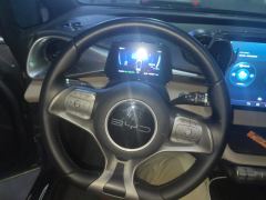 BYD Dolphin 420km Stylish Edition - photo 18