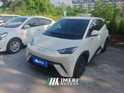 2024 BYD Seagull Honor Edition 305km Vitality Edition - ავტომობილი ჩინეთიდან