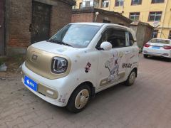 Bestune Pony Besturn Xiaoma 222km Agile Edition - photo 1