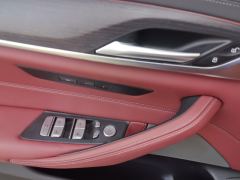 BMW 5 Series Facelift 530Li Premier M Sport Package - photo 13