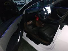 Tesla Model 3 606km Rear-Wheel Drive Edition - фото 14