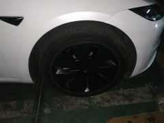 Tesla Model 3 606km Rear-Wheel Drive Edition - фото 6