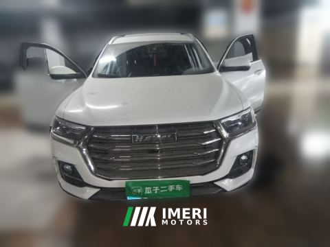 2021 Haval H6 Guochao Edition 1.5T 2WD Urban Edition - ავტომობილი ჩინეთიდან