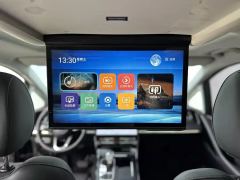 GAC Trumpchi M8 2.0T Exclusive Edition - ფოტო 10