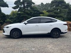 BYD Qin PLUS DM-i 1.5L 128km Progressive - photo 13