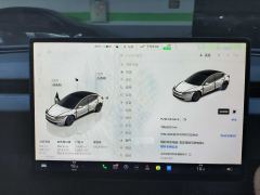 Tesla Model 3 606km Rear-Wheel Drive Edition - ფოტო 17
