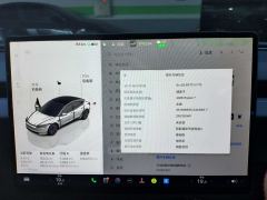 Tesla Model 3 606km Rear-Wheel Drive Edition - ფოტო 18