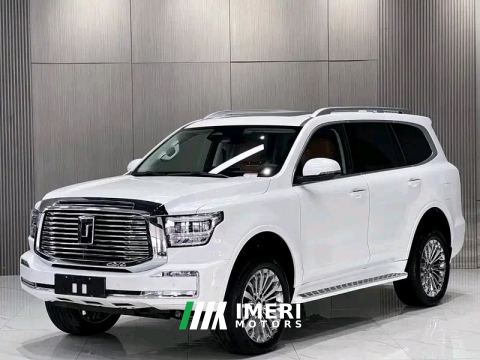2025 Tank 500 New Energy 2.0T Hi4-Z - car from China