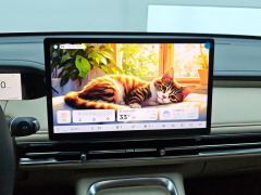 Wuling Bingo S 430km Flagship - photo 17