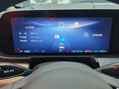 Buick GL8 Plug-in Hybrid Luxing 1.5T 142km Exclusive Edition - фото 20