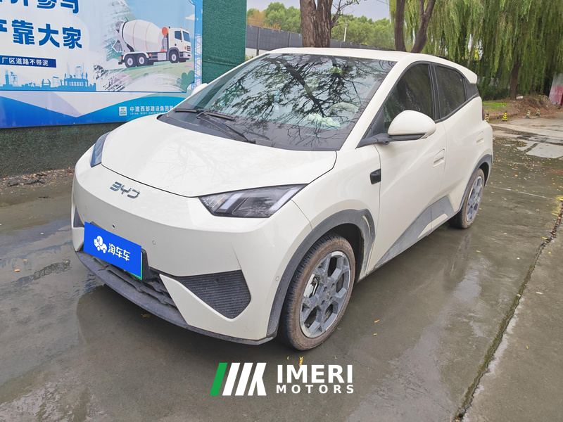 BYD Seagull Smart Driving Edition 305km Free Version - ავტომობილი ჩინეთიდან