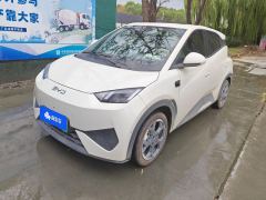 BYD Seagull Smart Driving Edition 305km Free Version - ფოტო 1