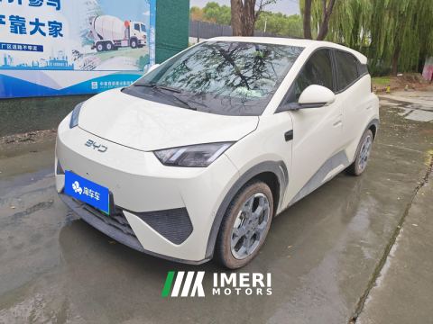 2025 BYD Seagull Smart Driving Edition 305km Free Version - автомобиль из Китая