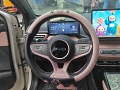 BYD Seagull Smart Driving Edition 305km Free Version - ფოტო 18