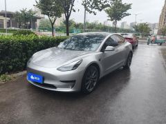 Tesla Model 3 556km Rear-Wheel Drive Edition - ფოტო 1
