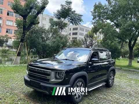 2024 Haval Great Wall Big Dog 1.5T 2WD Edition - ავტომობილი ჩინეთიდან