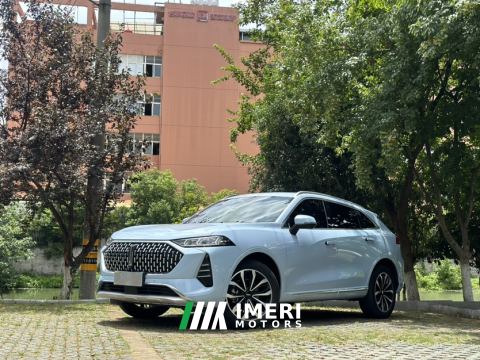 2021 Great Wall Mocha fuel Weipai Mocha Fuel Oil 2.0T Two-Wheel Drive Special Edition - ავტომობილი ჩინეთიდან
