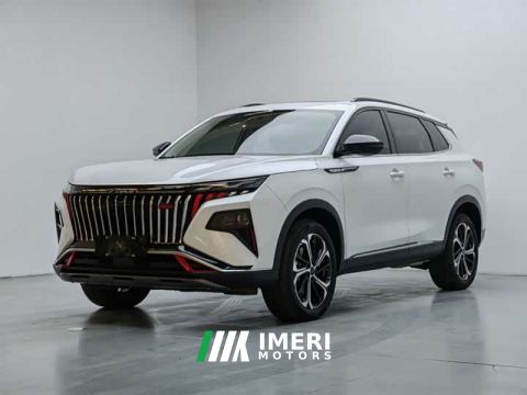 2024 Aeolus Dongfengfeng Shenhaoji Mach Power 1.5T Luxury Edition