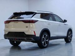Dongfeng Haoji 1.5T Luxury Version - ფოტო 12