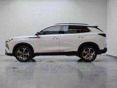 Dongfeng Haoji 1.5T Luxury Version - ფოტო 8