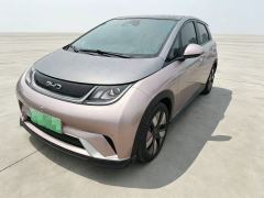 BYD Dolphin Honor Edition 401km Knight Edition - ფოტო 1