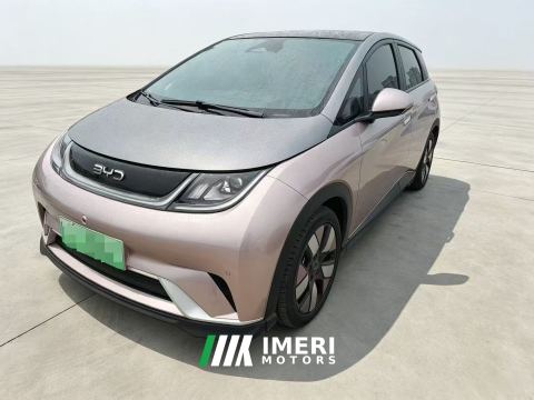 2024 BYD Dolphin Honor Edition 401km Knight Edition - car from China