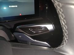 HiPhi X Flagship Edition 6-seater - ფოტო 19