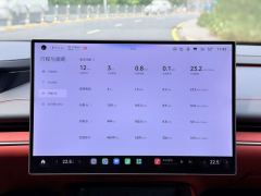 Xiaomi SU7 Rear-Wheel Drive Long Range Smart Driving Edition - фото 8