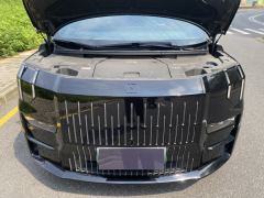 Zeekr 009 Geely Geometry EX9 ME Edition - photo 20
