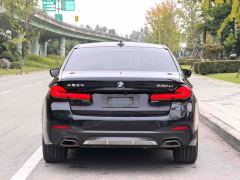 BMW 5 Series Facelift 530Li Luxury Package - ფოტო 9
