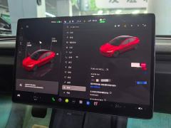Tesla Model 3 Rear-Wheel Drive - фото 11