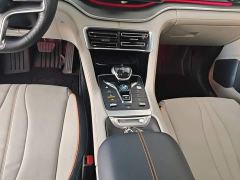 BYD Song Plus New Energy DM-i 110KM Flagship Plus - ფოტო 13