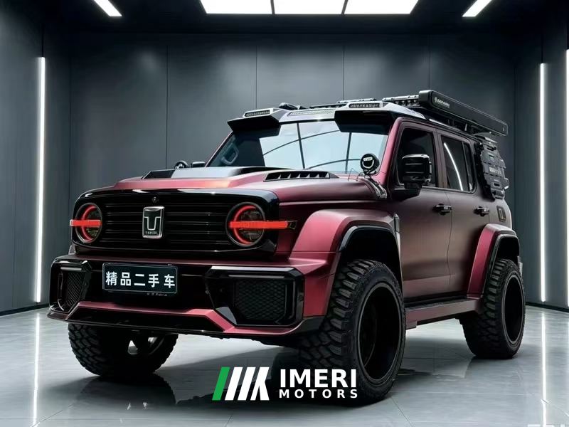 Tank 300 Off-Road Edition 2.0T Conqueror - ავტომობილი ჩინეთიდან