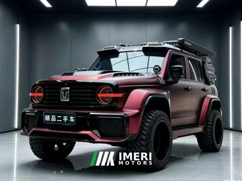 2023 Tank 300 Off-Road Edition 2.0T Conqueror - ავტომობილი ჩინეთიდან