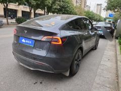 Tesla Model Y 554km Rear-Wheel Drive Edition - фото 2