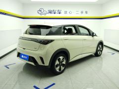 BYD Dolphin 420km Free Version - фото 2