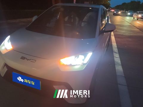 2023 BYD Seagull 305km Free Version - car from China
