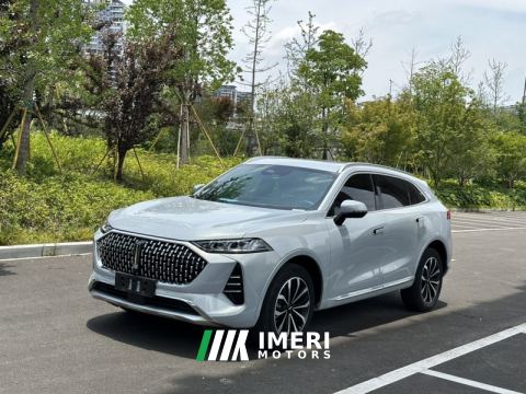 2021 Great Wall Mocha fuel Weipai Mocha Fuel Oil 2.0T Two-Wheel Drive Special Edition