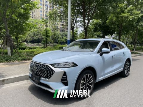 2021 Great Wall Mocha fuel Weipai Mocha Fuel Oil 2.0T Two-Wheel Drive Special Edition