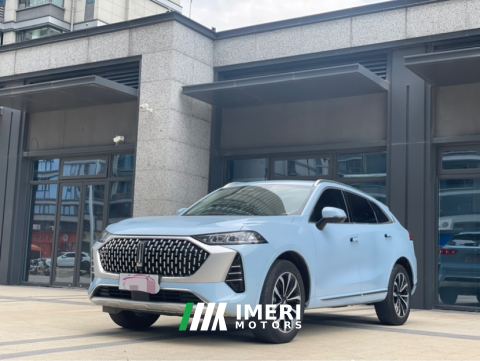 2021 Great Wall Mocha fuel Weipai Mocha Fuel Oil 2.0T Two-Wheel Drive Special Edition