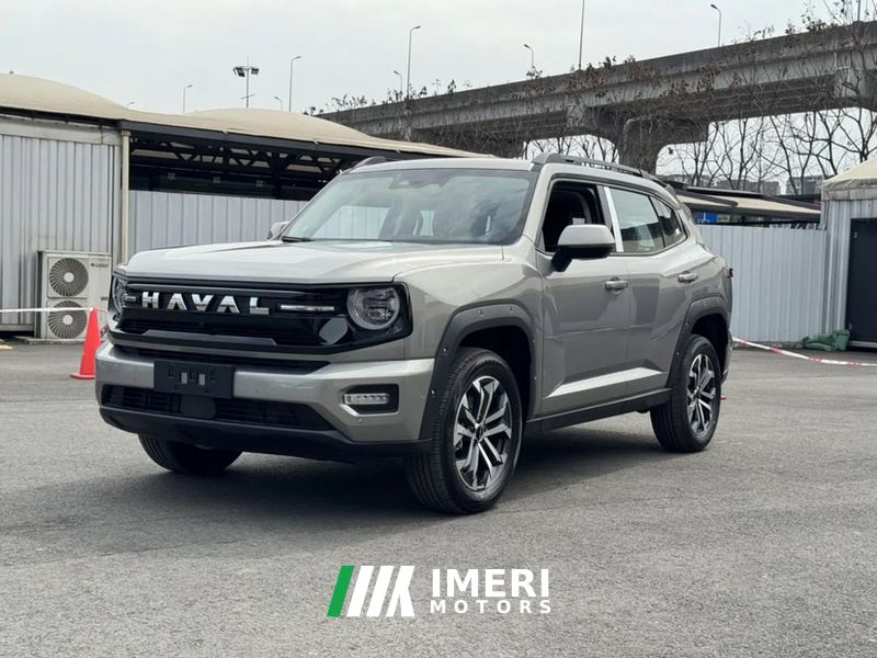 Haval Dargo PLUS 2.0T 2WD Edition - car from China