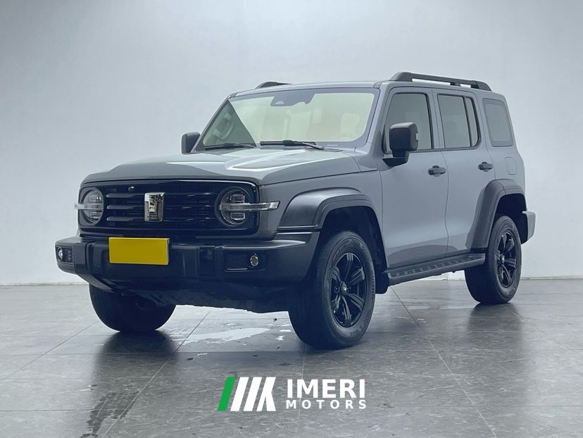 Tank 300 Off-Road Edition 2.0T Conqueror - ავტომობილი ჩინეთიდან