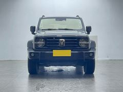 Tank 300 Off-Road Edition 2.0T Conqueror - ფოტო 2