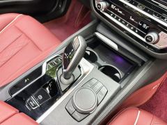 BMW 5 Series Facelift 530Li Premier M Sport Package - ფოტო 15