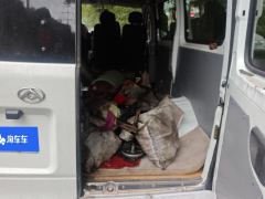 Maxus V80 2.0T 5/6 - photo 7