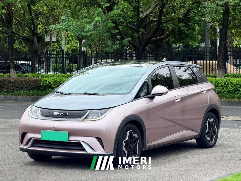 BYD Dolphin 405km Stylish Edition - ავტომობილი ჩინეთიდან