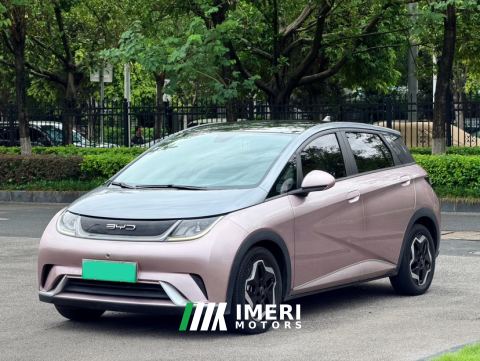 2021 BYD Dolphin 405km Stylish Edition - ავტომობილი ჩინეთიდან