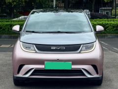 BYD Dolphin 405km Stylish Edition - ფოტო 2