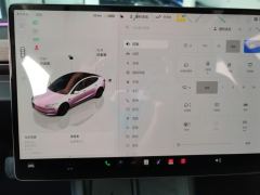 Tesla Model 3 634km Rear-Wheel Drive Edition - ფოტო 20